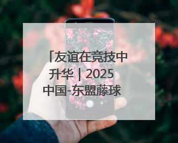 友谊在竞技中升华｜2025中国-东盟藤球邀请赛开赛 贵州惠水燃动“空中芭蕾”