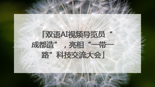 双语AI视频导览员“成都造”，亮相“一带一路”科技交流大会