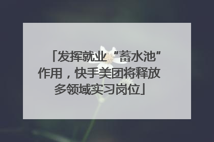 发挥就业“蓄水池”作用，快手美团将释放多领域实习岗位