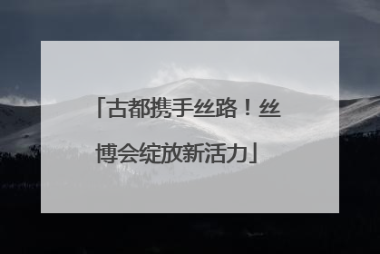 古都携手丝路！丝博会绽放新活力