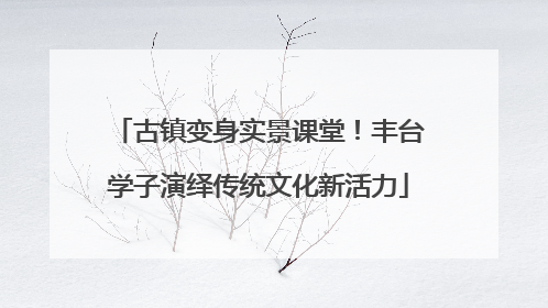 古镇变身实景课堂！丰台学子演绎传统文化新活力
