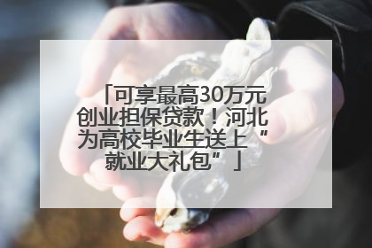 可享最高30万元创业担保贷款！河北为高校毕业生送上“就业大礼包”