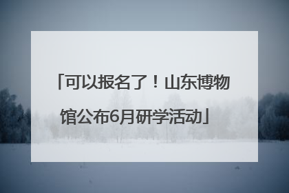 可以报名了！山东博物馆公布6月研学活动