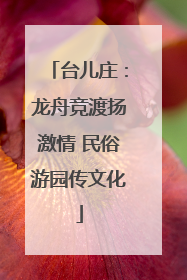 台儿庄：龙舟竞渡扬激情 民俗游园传文化