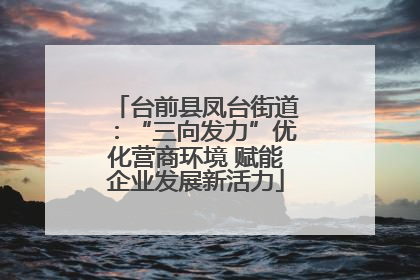 台前县凤台街道：“三向发力”优化营商环境 赋能企业发展新活力