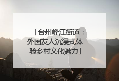 台州峰江街道：外国友人沉浸式体验乡村文化魅力