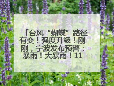 台风“蝴蝶”路径有变！强度升级！刚刚，宁波发布预警：暴雨！大暴雨！11级大风！