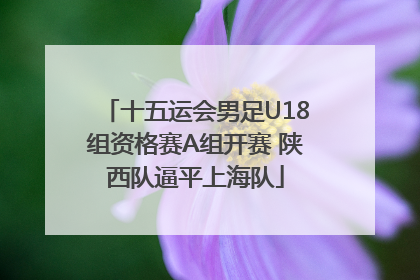 十五运会男足U18组资格赛A组开赛 陕西队逼平上海队