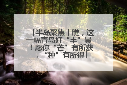 半岛聚焦丨瞧，这一幅青岛好“丰”景！愿你“芒”有所获，“种”有所得