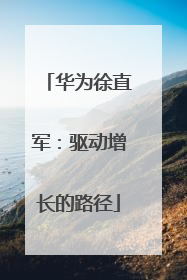 华为徐直军：驱动增长的路径