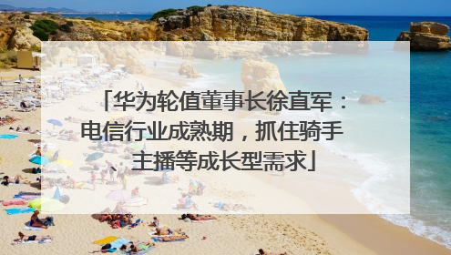 华为轮值董事长徐直军：电信行业成熟期，抓住骑手、主播等成长型需求