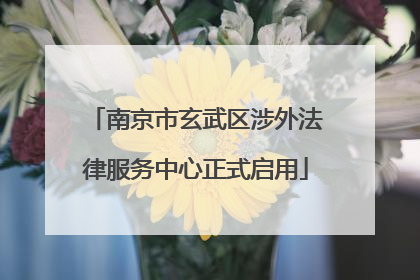 南京市玄武区涉外法律服务中心正式启用