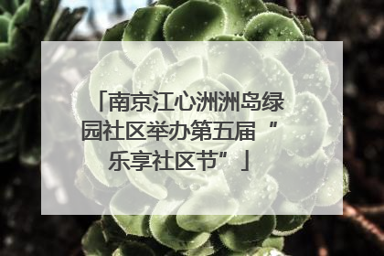 南京江心洲洲岛绿园社区举办第五届“乐享社区节”
