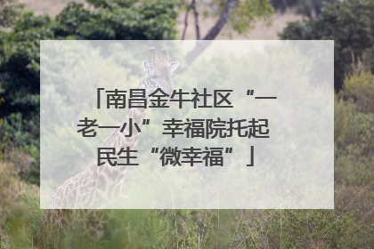 南昌金牛社区“一老一小”幸福院托起民生“微幸福”