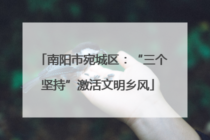 南阳市宛城区：“三个坚持”激活文明乡风
