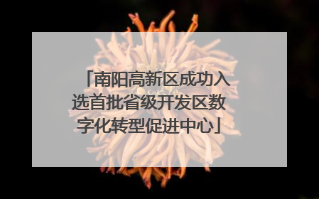 南阳高新区成功入选首批省级开发区数字化转型促进中心