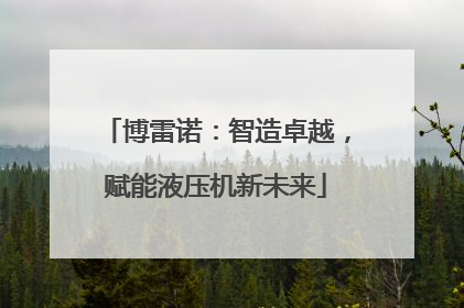博雷诺：智造卓越，赋能液压机新未来