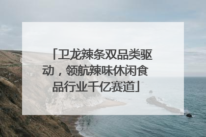 卫龙辣条双品类驱动，领航辣味休闲食品行业千亿赛道