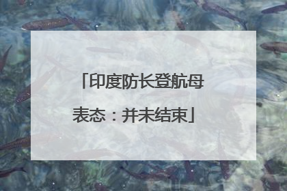 印度防长登航母表态：并未结束