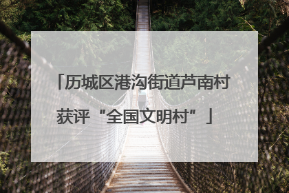 历城区港沟街道芦南村获评“全国文明村”