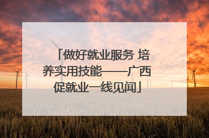 做好就业服务 培养实用技能——广西促就业一线见闻