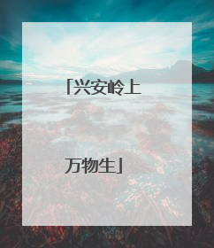 兴安岭上万物生