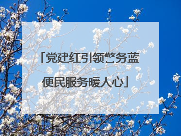 党建红引领警务蓝 便民服务暖人心