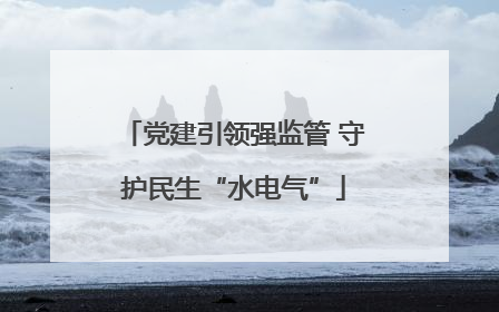 党建引领强监管 守护民生“水电气”