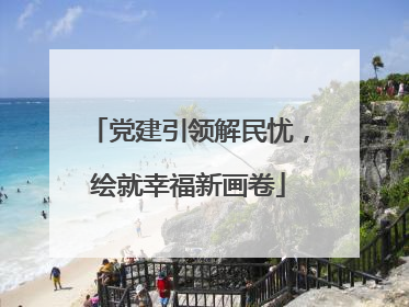 党建引领解民忧，绘就幸福新画卷