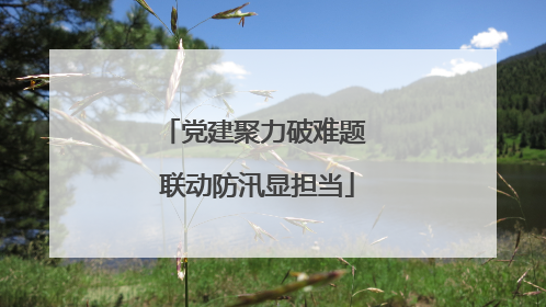 党建聚力破难题 联动防汛显担当