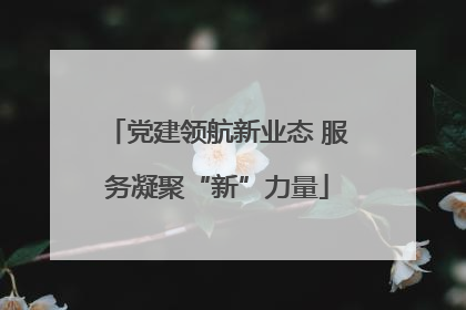 党建领航新业态 服务凝聚“新”力量