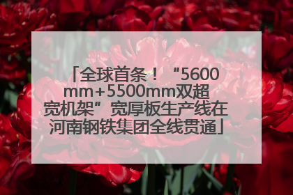 全球首条！“5600mm+5500mm双超宽机架”宽厚板生产线在河南钢铁集团全线贯通