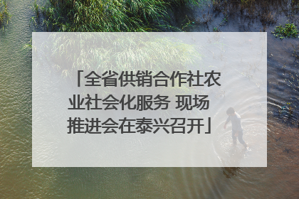 全省供销合作社农业社会化服务 现场推进会在泰兴召开
