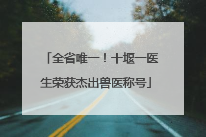 全省唯一！十堰一医生荣获杰出兽医称号