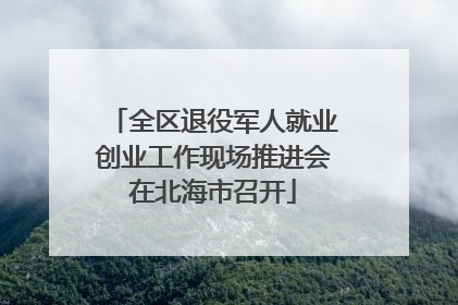 全区退役军人就业创业工作现场推进会在北海市召开