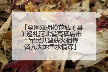 全国双拥模范城（县）巡礼河北省高碑店市：军民共建薪火相传 督亢大地鱼水情深