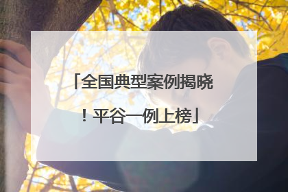 全国典型案例揭晓！平谷一例上榜