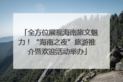 全方位展现海南旅文魅力！“海南之夜”旅游推介暨欢迎活动举办