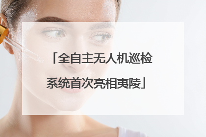 全自主无人机巡检系统首次亮相夷陵
