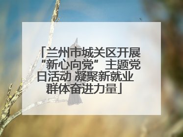 兰州市城关区开展“新心向党”主题党日活动 凝聚新就业群体奋进力量
