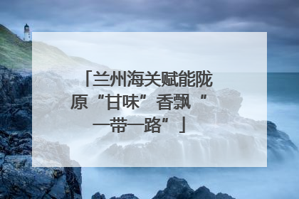 兰州海关赋能陇原“甘味”香飘“一带一路”