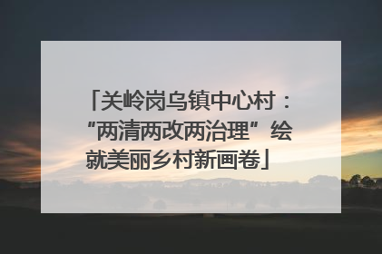 关岭岗乌镇中心村：“两清两改两治理”绘就美丽乡村新画卷