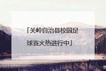关岭自治县校园足球赛火热进行中