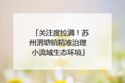 关注度拉满！苏州渭塘镇精准治理小流域生态环境