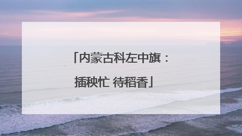 内蒙古科左中旗：插秧忙 待稻香