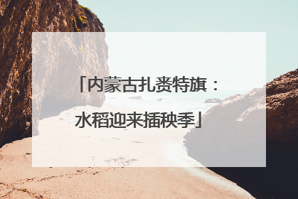 内蒙古扎赉特旗：水稻迎来插秧季