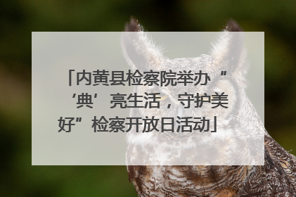 内黄县检察院举办“‘典’亮生活，守护美好”检察开放日活动