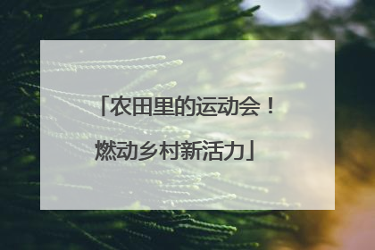 农田里的运动会！燃动乡村新活力