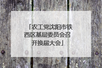 农工党沈阳市铁西区基层委员会召开换届大会