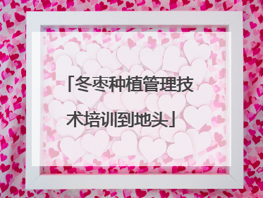 冬枣种植管理技术培训到地头